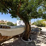 Hara's In , Paros