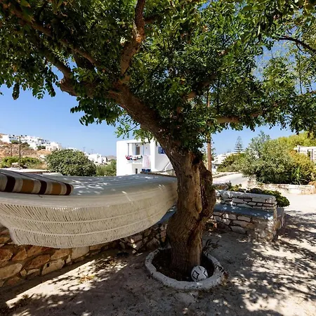 Hara's In , Paros